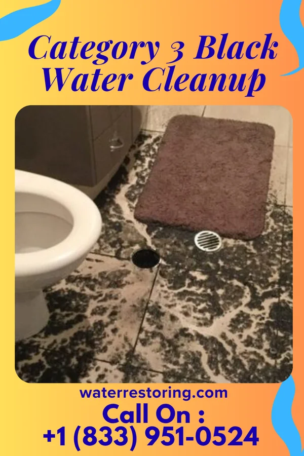 Category 3 Black Water Cleanup in Elm Grove, OK