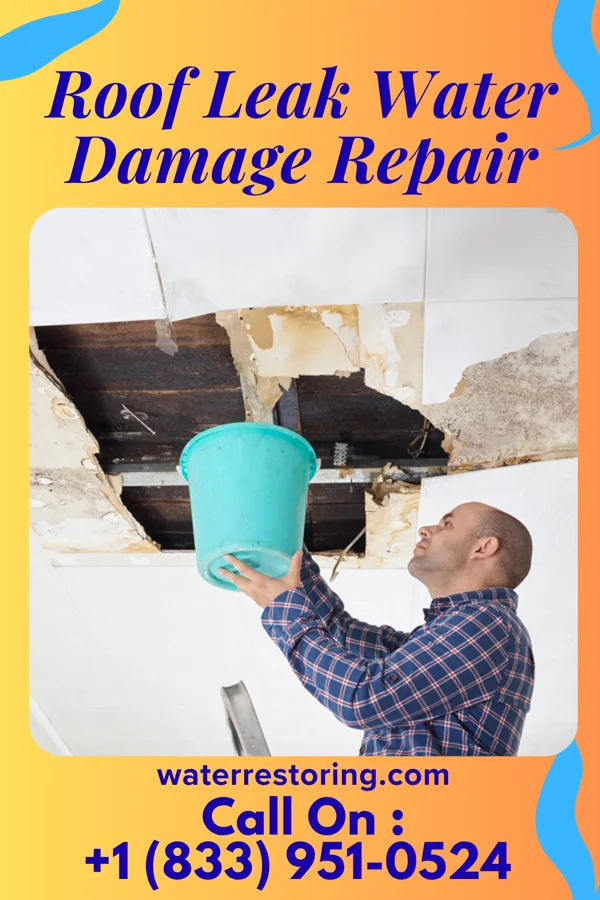Roof Leak Water Damage Repair in Elm Grove, OK