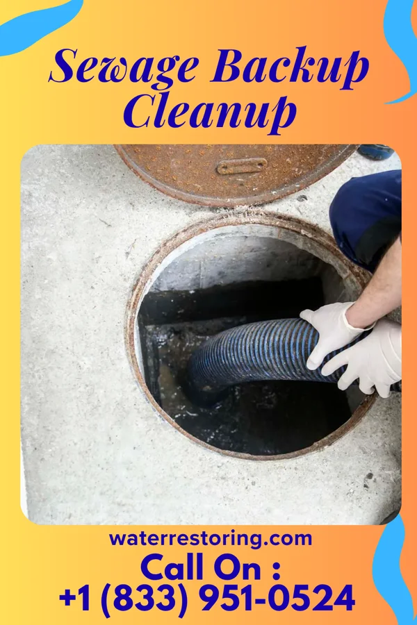 Sewage Backup Cleanup in Elm Grove, OK